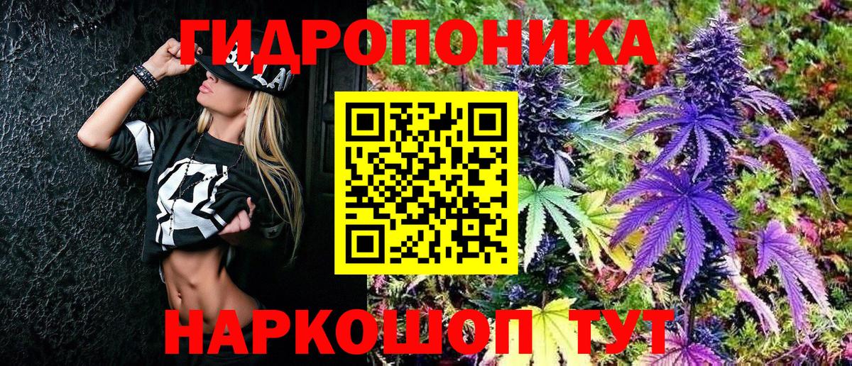 Бошки марихуана THC 21%  Марихуана индика  Вход с VPN  Волгоград 
